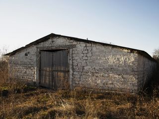 Ferma în vinzare foto 7