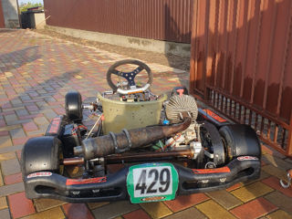 Benelli Karting фото 1