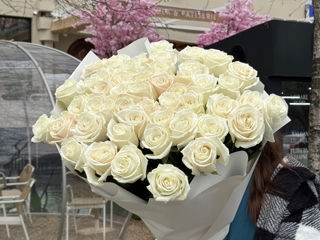 Oferte speciale la lalele! 51 la 1000 lei / soiuri olandeze! foto 9