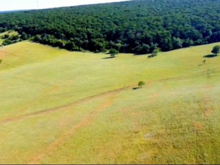 Hincesti 19 hectare pe un număr cadastral marginea orasului lingă pădure foto 11