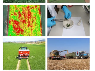 Агрохимический Анализ Почвы Agrochemical Soil Analysis foto 2