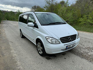 Mercedes Viano