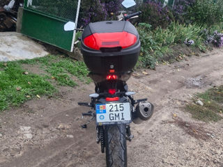 Geon Stinger 250 фото 3