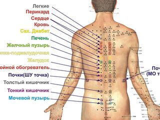 Акупунктурный аппликатор спины foto 3