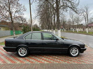 BMW 5 Series foto 10