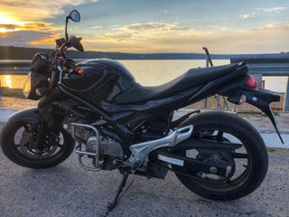 Suzuki SVF650 foto 2