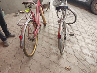 Bicicleta rosie foto 2