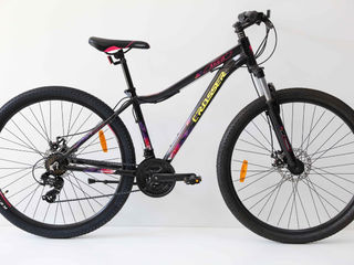 Biciclete Crosser foto 4