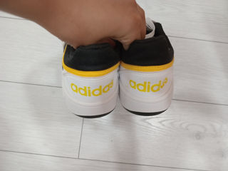 Adidas shoes foto 4