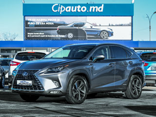 Lexus NX Series