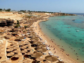 Египет!Sharm Holiday Resort Aqua Park  4*-599 €/13 ночей