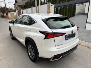 Lexus NX Series foto 3