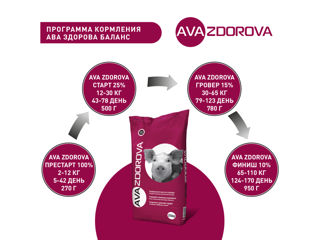 SPMV pentru porci AVA ZDOROVA START 25%. 25kg foto 7