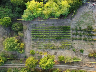 Se vinde vilă în sectorul Leca/продажа виллы в секторе Лека foto 1