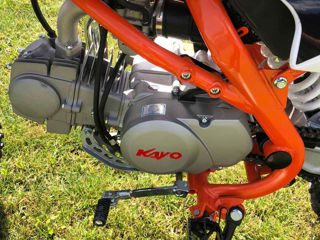 Kayo TT125/2024!!! foto 8