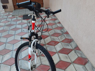 Bicicleta cu viteze foto 3