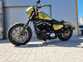 Harley - Davidson Sportster Iron 883 foto 8
