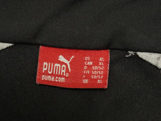 Puma foto 4