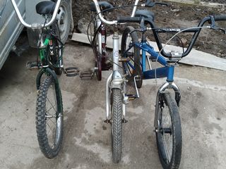 Vind bicicletele foto 1