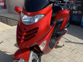 Kymco Kymco Grand Dink 250 foto 2