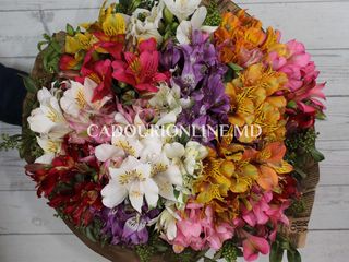 Доставка цветов Комрат, цветы с доставкой в Комрат фото 7