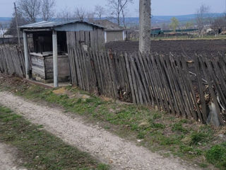 Se vinde casa in satul Pelinia foto 2