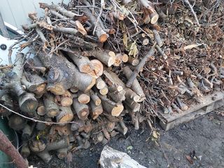 Резаные дрова 1200 лей за всё. foto 4