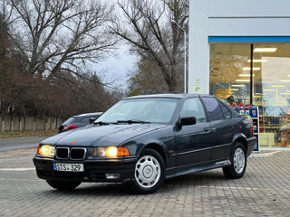 BMW 3 Series foto 14