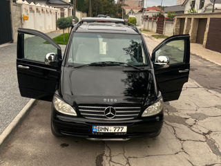 Mercedes Viano foto 10