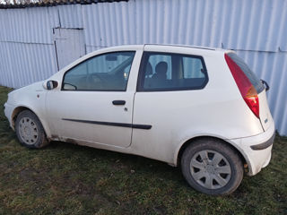 Fiat Punto foto 3