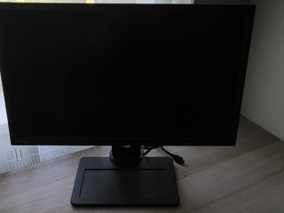 BenQ Monitor