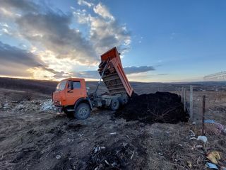 *Servicii kamaz,miniexcavator,buldoexcavator,bob cat,muncitori. foto 6