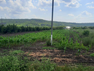 1 ari la traseu, 15 metri iesire spre traseu, 143 m în adîncime, acces de pe 2 drumuri, cu gaz, apă  foto 9
