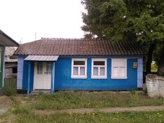 Se vinde casă, s. Gordinești, r. Edineț foto 3