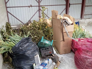 Evacuam Gunoi,Вывоз мусора. foto 3