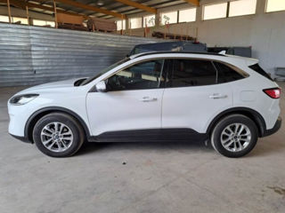 Ford Kuga foto 3