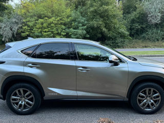 Lexus NX Series foto 8