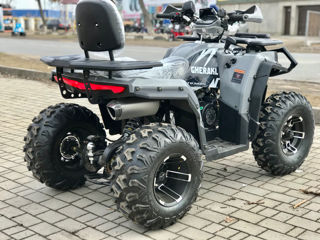 Gherakl ATV 300S (or.Balti) foto 3