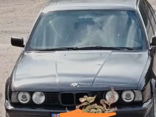 BMW 5 Series foto 4