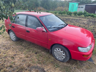 Toyota Corolla foto 2