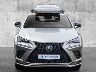 Lexus NX Series foto 3