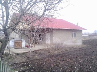 продаётся дом foto 5