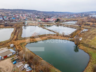 Vânzare, teren agricol, casă, 250 ari, satul Nimoreni, Ialoveni foto 3