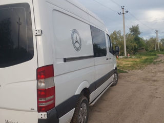 Mercedes Дельфин foto 5