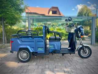 Altă marcă Scooter electric M17