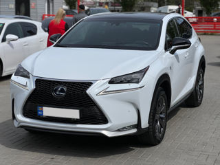 Lexus NX Series