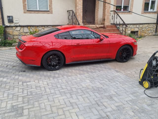 Ford Mustang foto 8