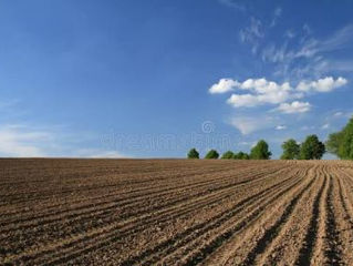 universalagromd-1