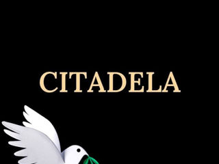 O cameră,  Centru,  Ungheni,  Ungheni foto 6