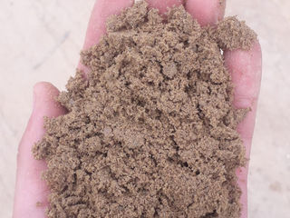 Щебень, галька, песок, пгс, бут, молуза, цемент - доставка самосвалами foto 8